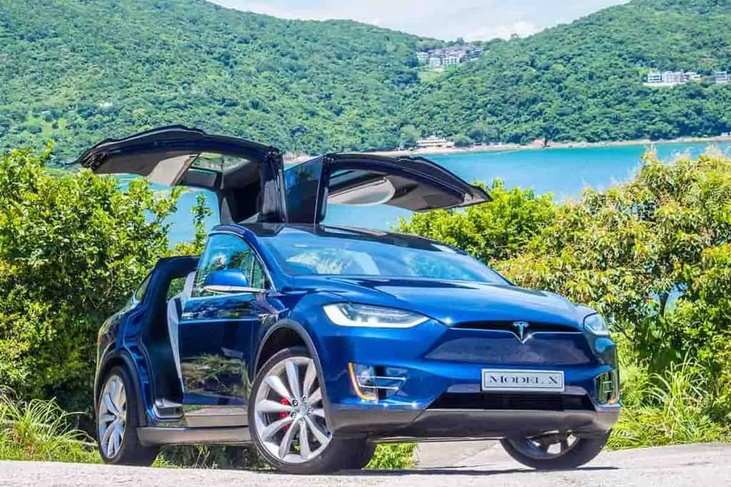 tesla model x ev for family of six